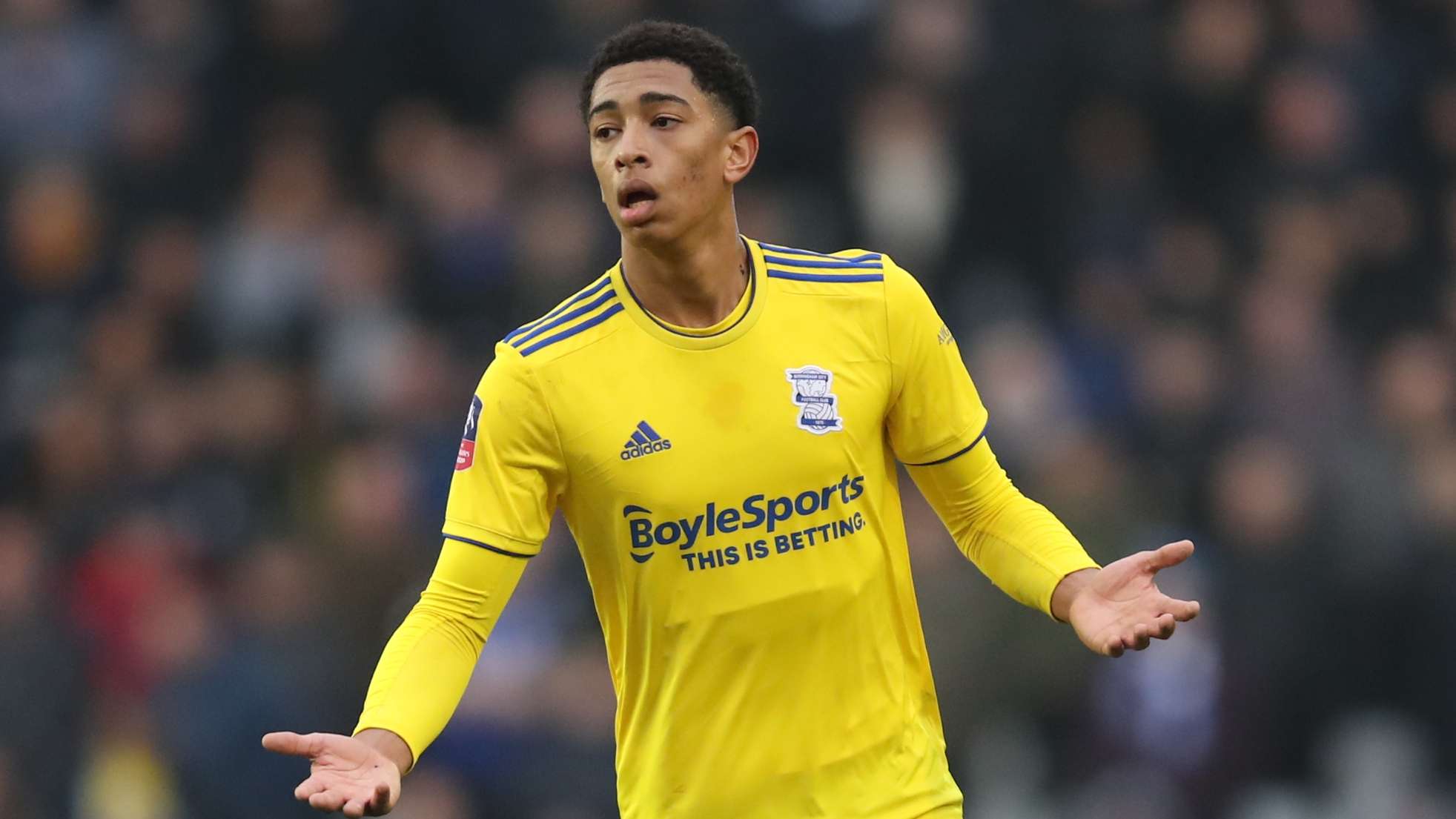 女足世界杯 女足世界杯