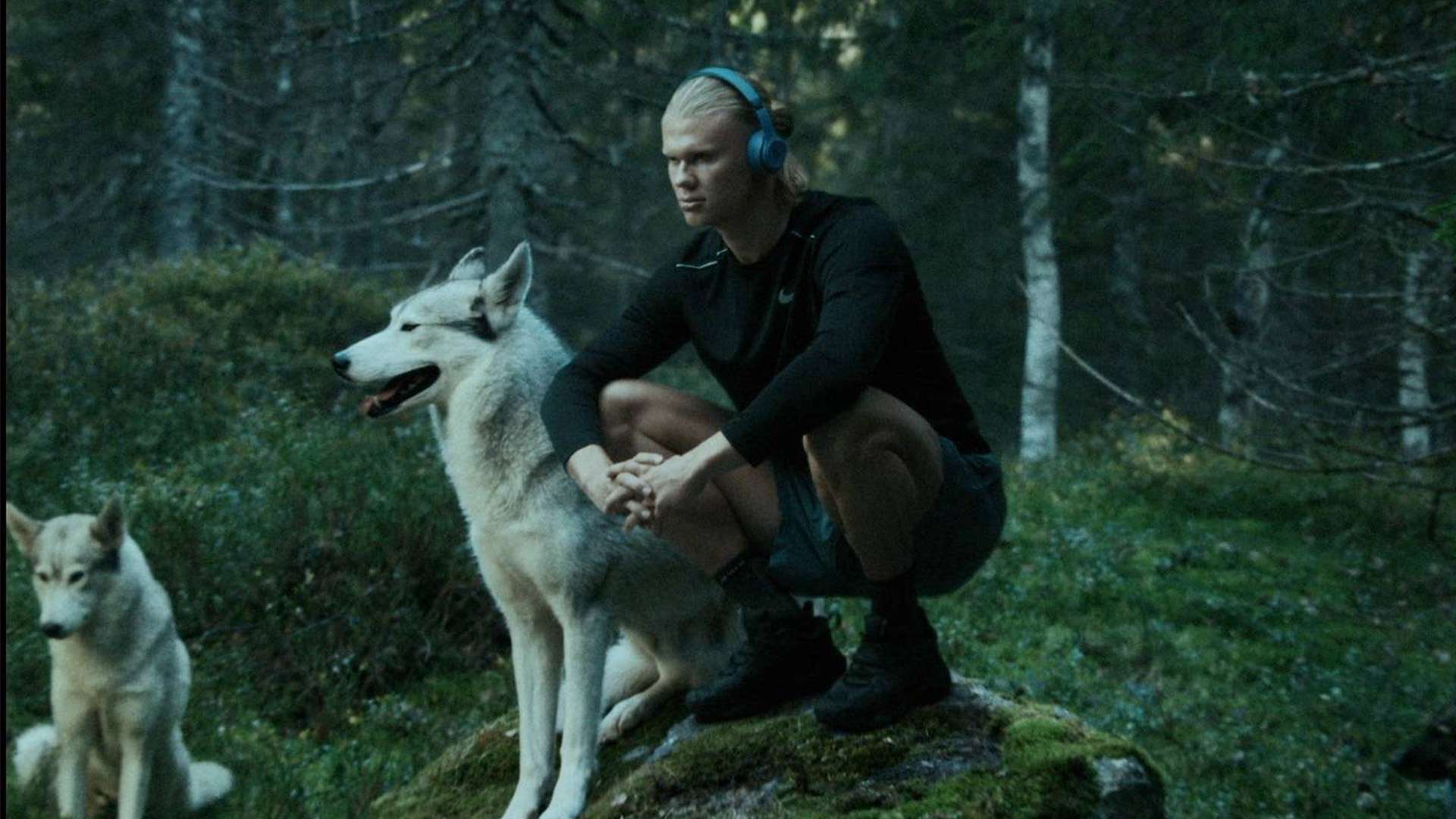 英超奪冠獎