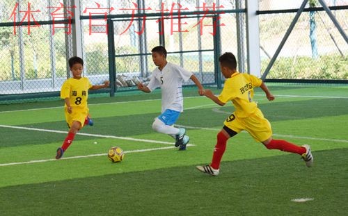 层林尽染湘江岸 “百舸”争流奋拼搏——2018“我爱足球”中国足球民间争霸赛南二赛区圆满结束